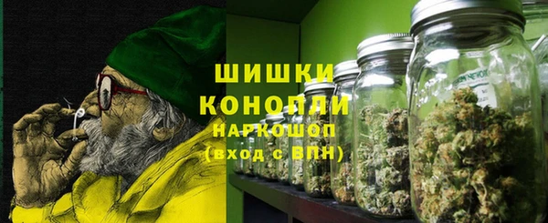 спайс Лагань