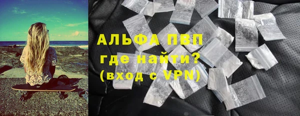 гашик Ладушкин
