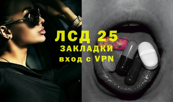 гашик Ладушкин