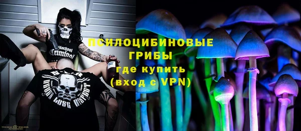 спайс Лагань